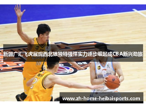 新疆广汇飞虎展现西北狼独特强悍实力逐步崛起成CBA新兴劲旅