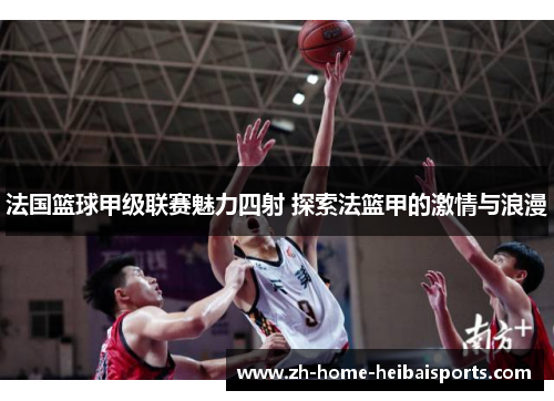 法国篮球甲级联赛魅力四射 探索法篮甲的激情与浪漫